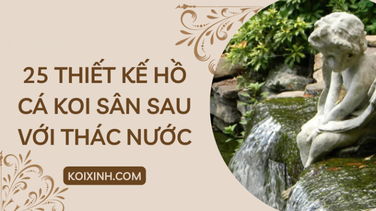 25 Thiết Kế Ao Cá Koi Sân Sau Tuyệt đẹp Với Thác Nước