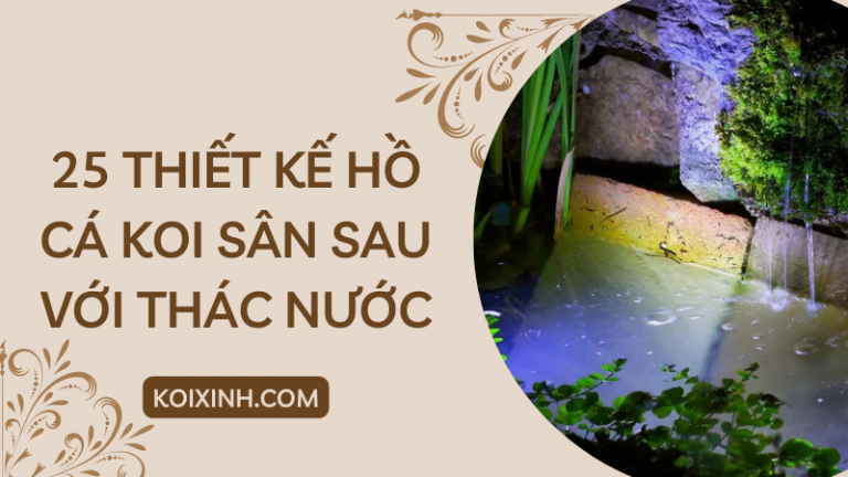 25 Thiết Kế Ao Cá Koi Sân Sau Tuyệt đẹp Với Thác Nước