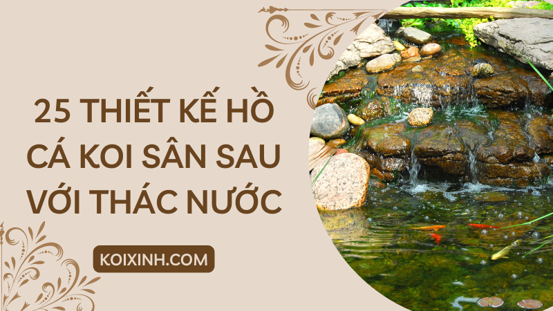 25 Thiết Kế Ao Cá Koi Sân Sau Tuyệt đẹp Với Thác Nước