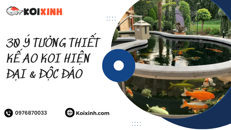 30 Ý Tưởng Thiết Kế Ao Koi Hiện đại & Độc đáo
