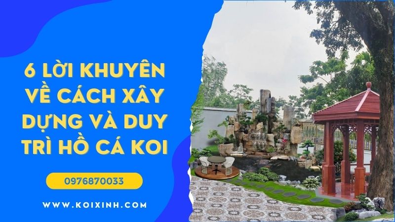 6 Lời Khuyên Về Cách Xây Dựng Và Duy Trì Hồ Cá Koi