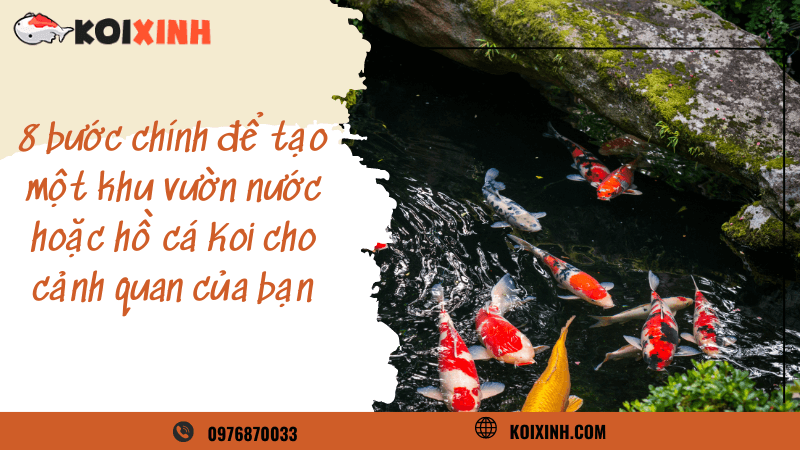 8 Bước Chính để Tạo Một Khu Vườn Nước Hoặc Hồ Cá Koi Cho Cảnh Quan Của Bạn
