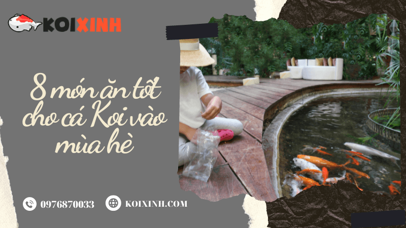 8 Món ăn Tốt Cho Cá Koi Vào Mùa Hè