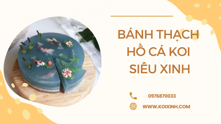 Bánh Thạch Hồ Koi Siêu Xinh Bánh Thạch Hồ Koi Siêu Xinh