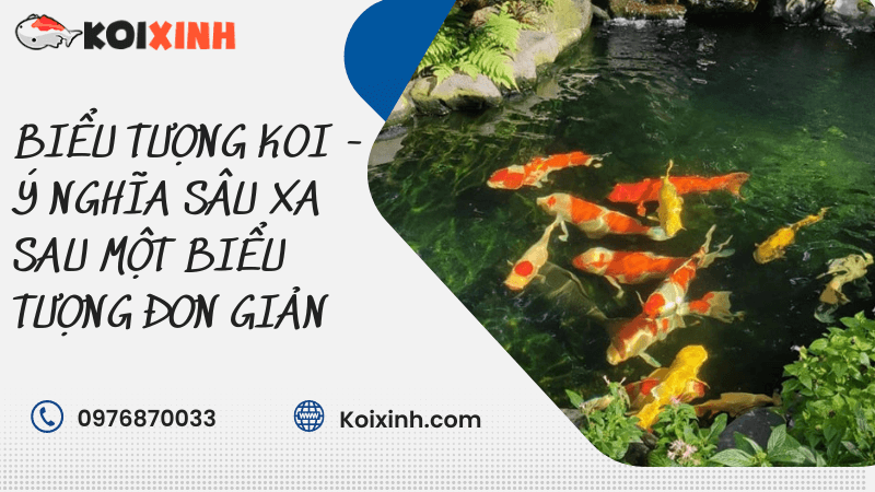 Biểu Tượng Koi – Ý Nghĩa Sâu Xa Sau Một Biểu Tượng đơn Giản