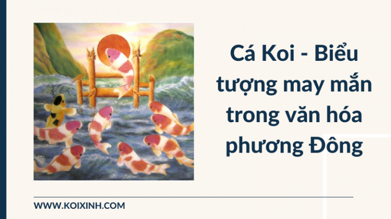 Cá Koi Là Gì? Tại Sao Cá Koi Lại Trở Thành Biểu Tượng May Mắn Trong Văn Hóa Phương Đông? Cá Koi Là Gì? Tại Sao Cá Koi Lại Trở Thành Biểu Tượng May Mắn Trong Văn Hóa Phương Đông?