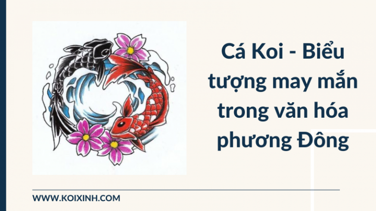 Cá Koi Là Gì? Tại Sao Cá Koi Lại Trở Thành Biểu Tượng May Mắn Trong Văn Hóa Phương Đông? Cá Koi Là Gì? Tại Sao Cá Koi Lại Trở Thành Biểu Tượng May Mắn Trong Văn Hóa Phương Đông?