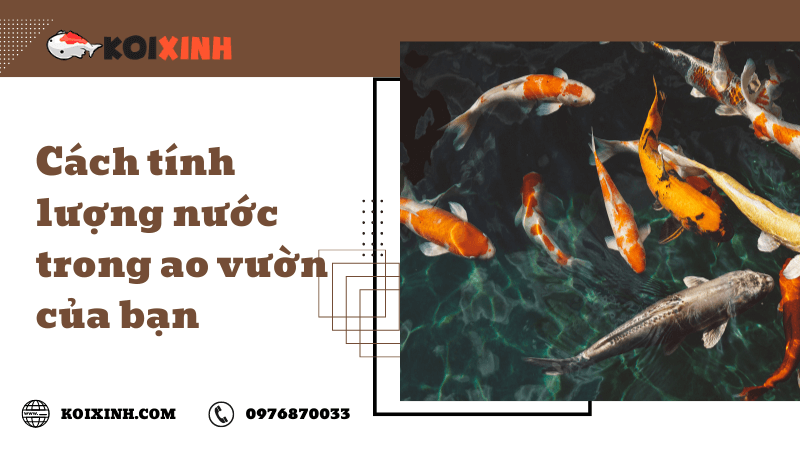 Cách Tính Lượng Nước Trong Ao Vườn Của Bạn