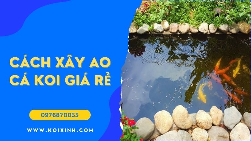 Cách Xây Ao Cá Koi Giá Rẻ