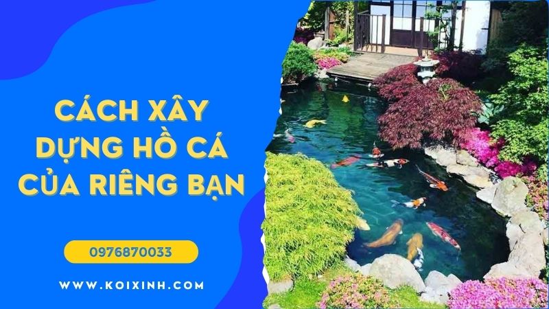 Ao Koi Là Gì Và Cách Xây Dựng Hồ Cá Của Riêng Bạn (Ý Tưởng Thiết Lập Tốt Nhất)