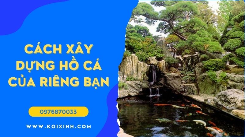 Ao Koi Là Gì Và Cách Xây Dựng Hồ Cá Của Riêng Bạn (Ý Tưởng Thiết Lập Tốt Nhất)
