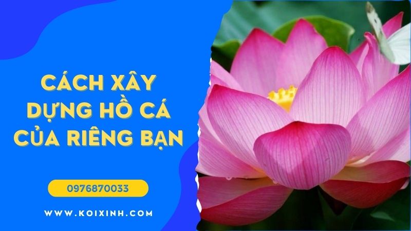 Ao Koi Là Gì Và Cách Xây Dựng Hồ Cá Của Riêng Bạn (Ý Tưởng Thiết Lập Tốt Nhất)
