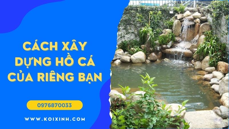 Ao Koi Là Gì Và Cách Xây Dựng Hồ Cá Của Riêng Bạn (Ý Tưởng Thiết Lập Tốt Nhất)