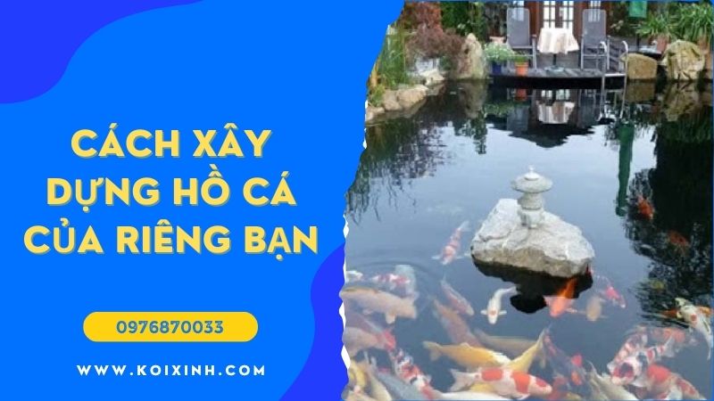 Ao Koi Là Gì Và Cách Xây Dựng Hồ Cá Của Riêng Bạn (Ý Tưởng Thiết Lập Tốt Nhất)