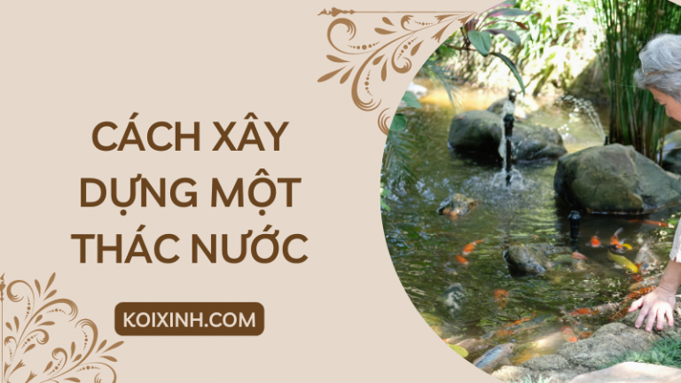 Cách Xây Dựng Một Thác Nước Cách Xây Dựng Một Thác Nước