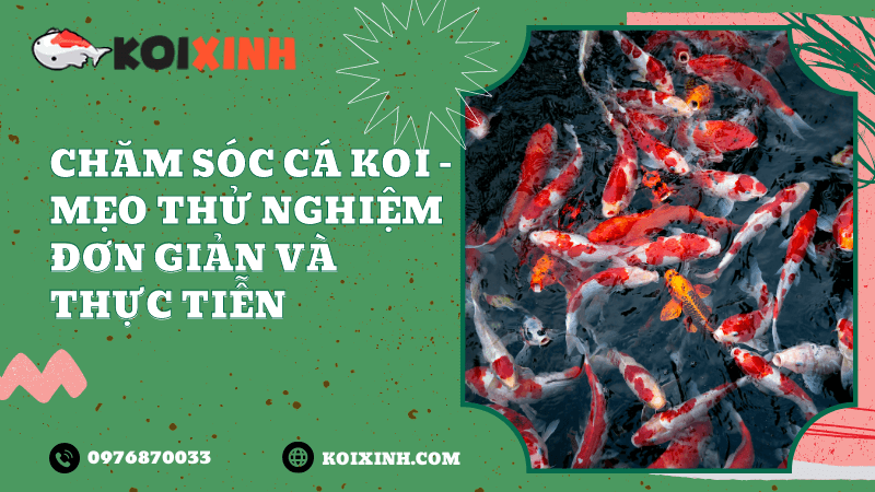 Nhiệt độ nước