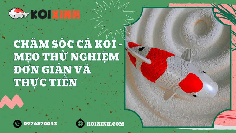 Mẹo để giữ cho ao có mức oxy thích hợp