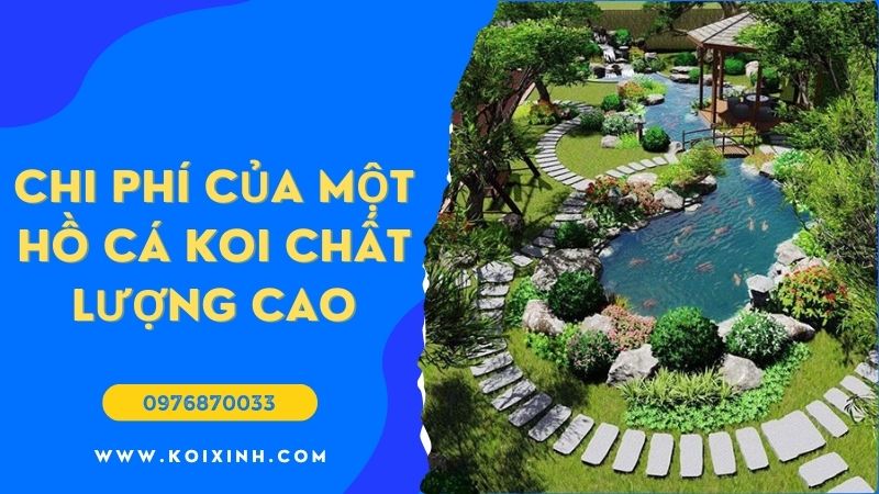 Chi Phí đích Thực Của Một Hồ Cá Koi Chất Lượng Cao