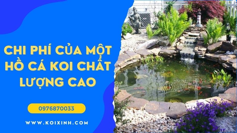 Chi Phí đích Thực Của Một Hồ Cá Koi Chất Lượng Cao