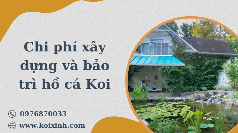 Chi Phí Xây Dựng Và Bảo Trì Hồ Cá Koi