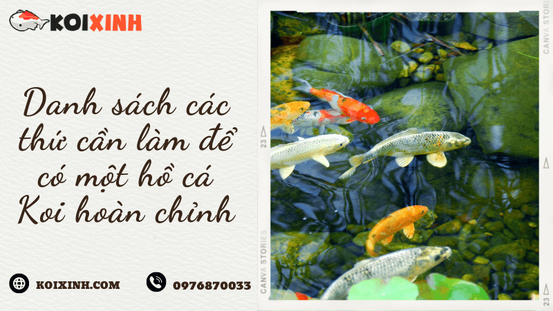 Danh Sách Các Thứ Cần Làm để Có Một Hồ Cá Koi Hoàn Chỉnh Danh Sách Các Thứ Cần Làm để Có Một Hồ Cá Koi Hoàn Chỉnh