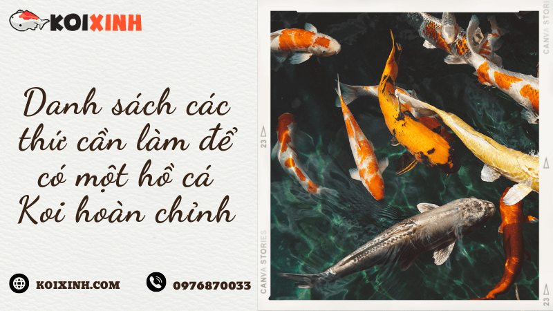 Danh Sách Các Thứ Cần Làm để Có Một Hồ Cá Koi Hoàn Chỉnh Danh Sách Các Thứ Cần Làm để Có Một Hồ Cá Koi Hoàn Chỉnh