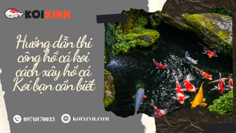 Hướng Dẫn Thi Công Hồ Cá Koi Cách Xây Hồ Cá Koi Bạn Cần Biết Hướng Dẫn Thi Công Hồ Cá Koi Cách Xây Hồ Cá Koi Bạn Cần Biết