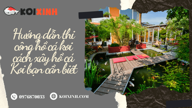 Hướng Dẫn Thi Công Hồ Cá Koi Cách Xây Hồ Cá Koi Bạn Cần Biết Hướng Dẫn Thi Công Hồ Cá Koi Cách Xây Hồ Cá Koi Bạn Cần Biết
