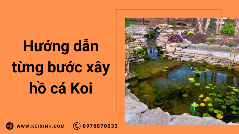Cách Xây Hồ Cá Koi Từng Bước