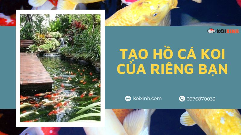 Tạo Hồ Cá Koi Của Riêng Bạn