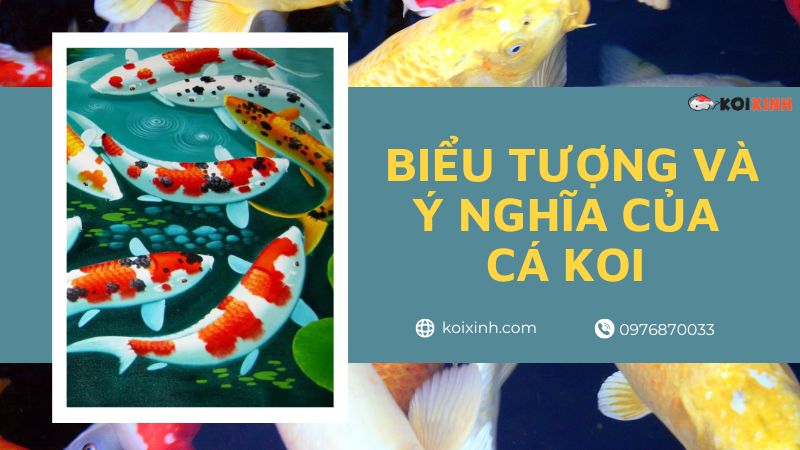 Biểu Tượng Và ý Nghĩa Của Loài Cá Nổi Tiếng Hiện Nay
