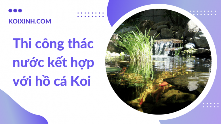 Thi Công Thác Nước Kết Hợp Với Hồ Cá Koi Thi Công Thác Nước Kết Hợp Với Hồ Cá Koi