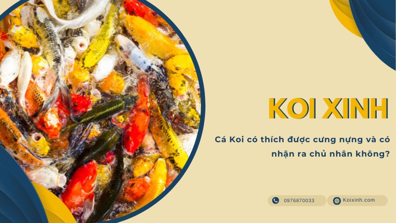 Câu hỏi liên quan