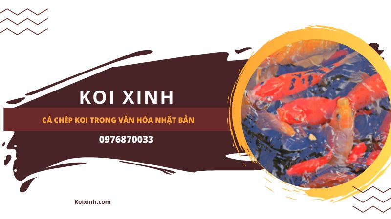 Cá Chép Koi Trong Văn Hóa Nhật Bản