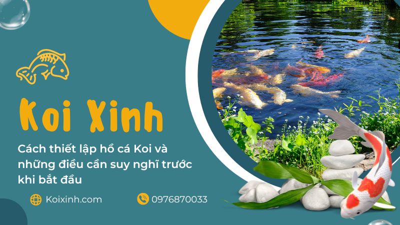 Cách Thiết Lập Hồ Cá Koi Và Những điều Cần Suy Nghĩ Trước Khi Bắt đầu Cách Thiết Lập Hồ Cá Koi Và Những điều Cần Suy Nghĩ Trước Khi Bắt đầu