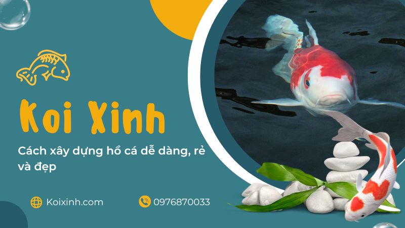 Cách Xây Dựng Hồ Cá Dễ Dàng, Rẻ Và đẹp Cách Xây Dựng Hồ Cá Dễ Dàng, Rẻ Và đẹp