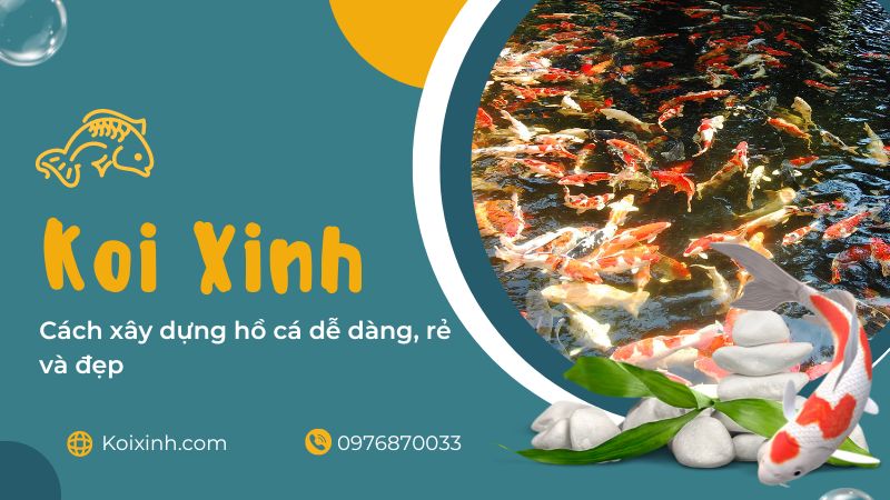 Cách Xây Dựng Hồ Cá Dễ Dàng, Rẻ Và đẹp Cách Xây Dựng Hồ Cá Dễ Dàng, Rẻ Và đẹp