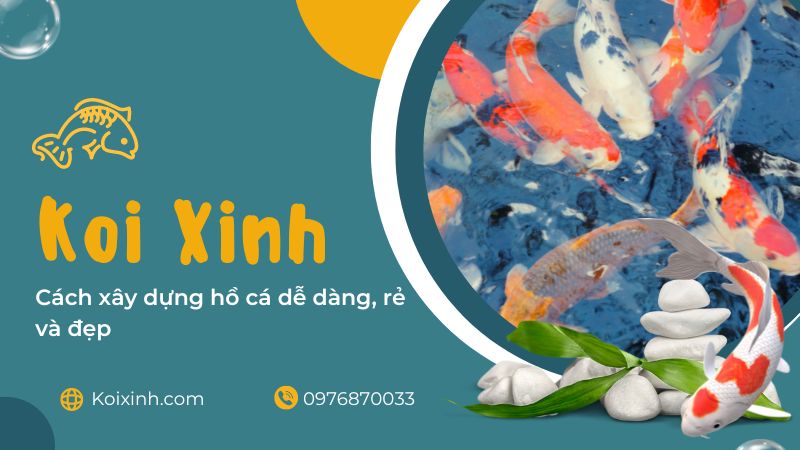 Cách Xây Dựng Hồ Cá Dễ Dàng, Rẻ Và đẹp Cách Xây Dựng Hồ Cá Dễ Dàng, Rẻ Và đẹp