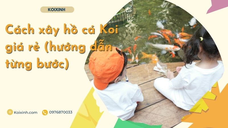 Cách Xây Hồ Cá Koi Giá Rẻ (hướng Dẫn Từng Bước)