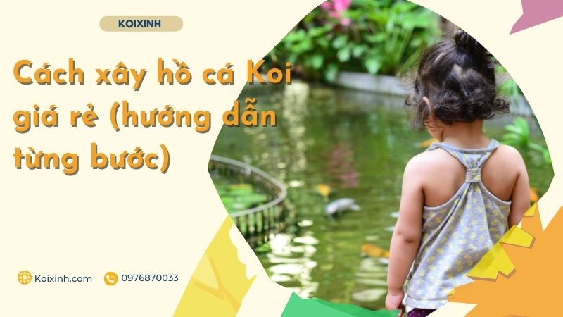 Cách Xây Hồ Cá Koi Giá Rẻ (hướng Dẫn Từng Bước)