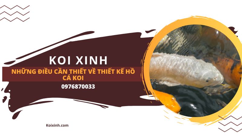 Những điều Cần Thiết Về Thiết Kế Hồ Cá Koi