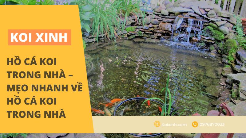Hồ Cá Trong Nhà Hồ Cá Trong Nhà