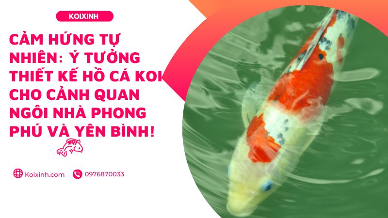 Cảm Hứng Tự Nhiên: Ý Tưởng Thiết Kế Hồ Cá Koi Cho Cảnh Quan Ngôi Nhà Phong Phú Và Yên Bình!