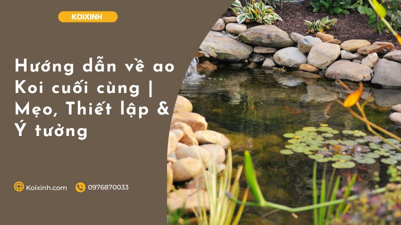 Hướng Dẫn Về Ao Koi Cuối Cùng | Mẹo, Thiết Lập & Ý Tưởng Hướng Dẫn Về Ao Koi Cuối Cùng | Mẹo, Thiết Lập & Ý Tưởng