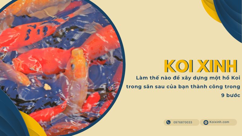 Làm Thế Nào để Xây Dựng Một Hồ Koi Trong Sân Sau Của Bạn Thành Công Trong 9 Bước