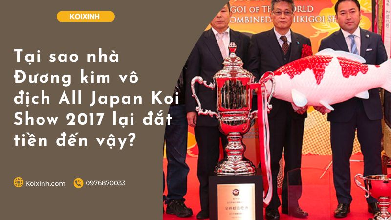Tại Sao Nhà Đương Kim Vô địch All Japan Koi Show 2017 Lại đắt Tiền đến Vậy?