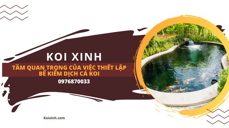 Làm Thế Nào để Xây Dựng Một Cái Ao Cá Koi Làm Thế Nào để Xây Dựng Một Cái Ao Cá Koi