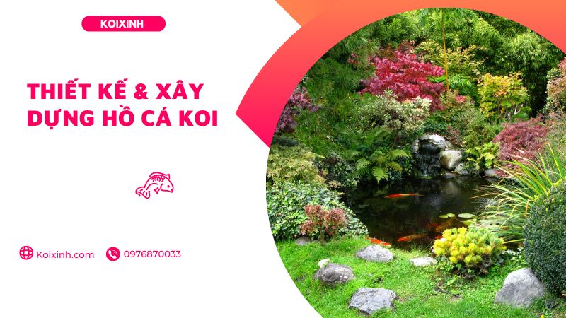 Thiết Kế & Xây Dựng Hồ Cá Koi Thiết Kế & Xây Dựng Hồ Cá Koi