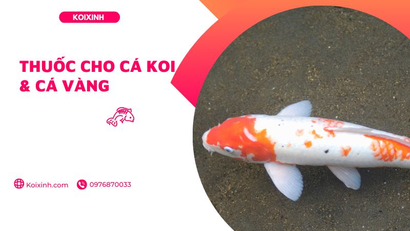 Lấy mẫu xét nghiệm Lấy mẫu xét nghiệm