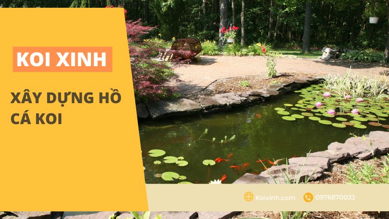 Xây Dựng Hồ Cá Koi